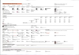 Image représentant Troupeau de moutons et le vieux château de Miglos