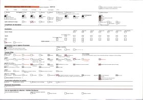 Image représentant Troupeau de moutons et le vieux château de Miglos