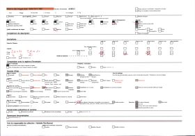 Image représentant Le hameau d'Alliat près de Niaux vu du versant droit du Vicdessos