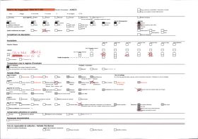 Image représentant Le Pic de Saint-Barthélemy au fond couvert de neige et sur la droite, le Soudour qui domine Tarascon