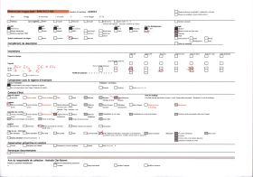 Image représentant Le Pic de Saint-Barthélemy au fond couvert de neige et sur la droite, le Soudour qui domine Tarascon