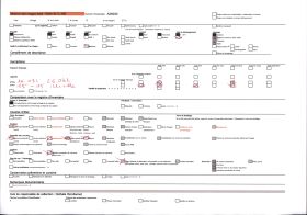 Image représentant Une maison couverte de chaume, avec de grandes plaques de schiste sur les bords