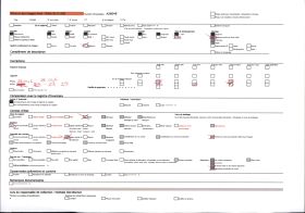 Image représentant Marmites à la sortie de la grotte du Mas-d'Azil