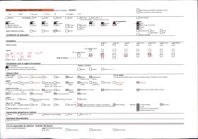 Image représentant La paroi aval du Mas-d'Azil