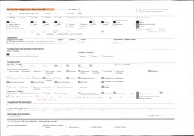 Image représentant France, Strasbourg, Les tailles et les saules entre les Deux Rhin, près de Kehl (Rheinwald)