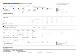 Image représentant Les marais salants
