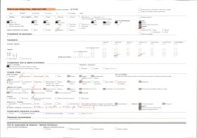 Image représentant France Alsace, Strasbourg, Le Palais de Rohan et la flèche de la Cathédrale du dernier plan