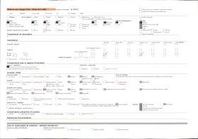 Image représentant Une jeune fille, Emilie Speisser, de face