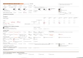 Image représentant Pont de Kehl, Le Pont du Chin de fer