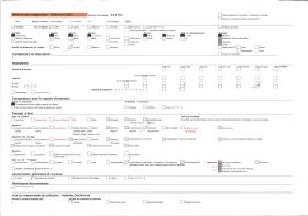 Image représentant France, Le Pic du Midi et le Gave d'Ossau