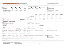 Image représentant France, Sauveterre de Béarn, Le Porche de l'Eglise