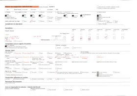 Image représentant France, Ciboure, Les bords de la Nivelle