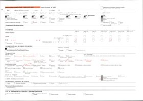 Image représentant La cour intérieure du cloître de Saint-Trophime