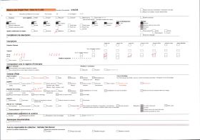 Image représentant Les bateaux amarés dans le Vieux Port, vue prise sous le pont transbordeur