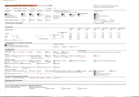 Image représentant Les bateaux amarés dans le Vieux Port, vue prise sous le pont transbordeur