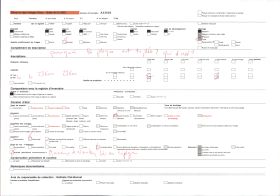 Image représentant La Place Thiers le jour du marché