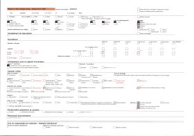 Image représentant Cheminée de l'ancien évêché ou Palais Episcopal