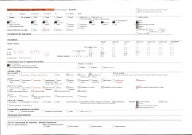 Image représentant Maison à toit de chaume