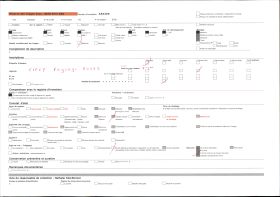 Image représentant Pommiers en fleurs