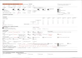 Image représentant Pommiers en fleurs aux abords du village
