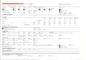 Image représentant Pommiers en fleurs