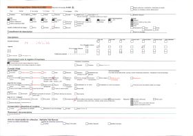 Image représentant La route près de Mauriac