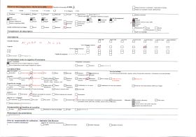 Image représentant Route près de Mauriac