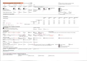 Image représentant La collégiale gothique, place de la Halle aux Bleds