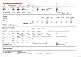 Image représentant Les moules sur un rocher