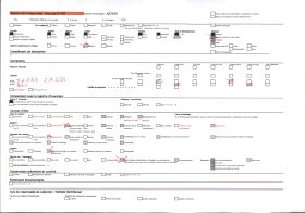 Image représentant Les moules sur un rocher