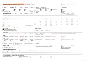Image représentant Une saillie d'étalons pur sang