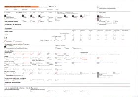 Image représentant Une saillie d'étalons pur sang
