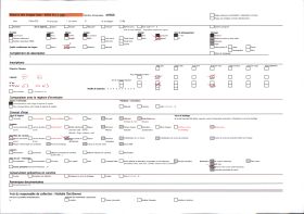 Image représentant La nef de la collégiale Notre-Dame