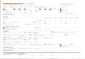 Image représentant Une foire aux cochons sur la place du Marchallac'h