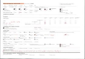 Image représentant La Grand'Place (aujourd'hui place du Général Leclerc)