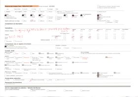 Image représentant La basilique Notre-Dame-de-Bon-Secours