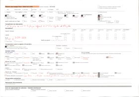 Image représentant La passerelle Saint-François sur le Guindy