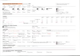 Image représentant France, Les Eyzies, Un seul mulet avec la femme du roulier