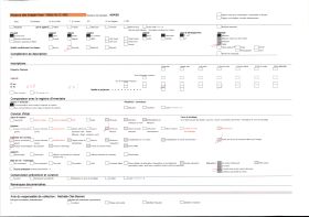 Image représentant France, Les Eyzies, L'abri sous roche de Laussel le cheval sculpté avec coups de pierres de silex