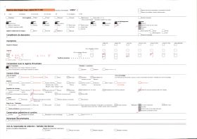 Image représentant France, Régnac, L'union du roc et du bois paysage de la Vézere en aval de Règnac saules