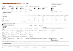 Image représentant France, Domme, Domme une rue descendante