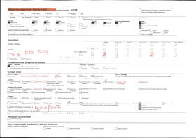 Image représentant Le Château de Neubourg vu des jardins