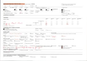 Image représentant La rue de la République