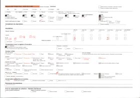 Image représentant Toiture de chaume et de toile ondulée