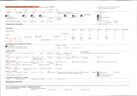 Image représentant La Tour Grise