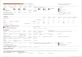 Image représentant Frontispice de la Tour Grise