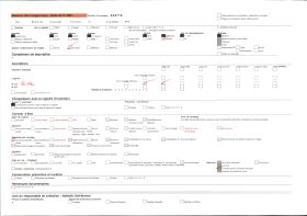 Image représentant Détail du porche sud de la cathédrale Notre-Dame