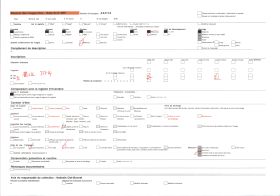 Image représentant Détail des sculptures du porche du portail de la façade sud de la cathédrale Notre-Dame