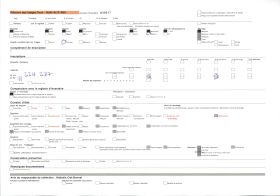 Image représentant Devant l'un des deux menhirs de Kerscaven, dit le menhir de l'Evêque, un homme pose pour indiquer l'échelle du mégalithe