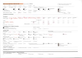 Image représentant Clôture en pierres entre deux talus et ajoncs fleuris à l'arrière-plan